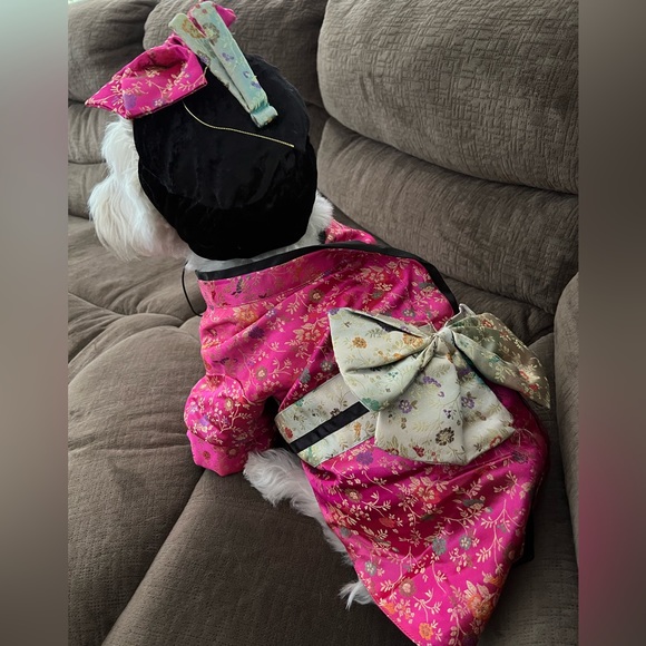 Halloween Kimono with matching Headpiece. Fabric is faux silk and colorful. - Picture 2 of 11